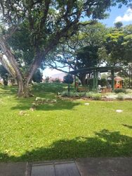 Ang Mo Kio Avenue 5 (D20), Terrace #495615901